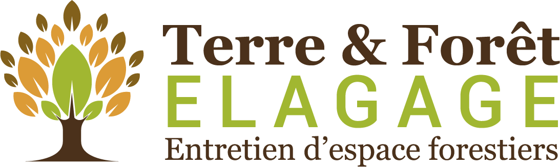 Terre Et Foret : spécialiste de l'entretien de jardin et élagage des abres Eyragues, Chateaurenard et Saint Rémy de Porvence